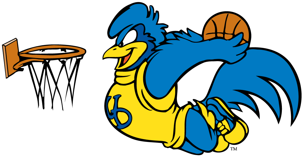 delaware blue hens 1993-pres mascot logo t shirts DIY iron ons v7